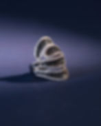 Design único e presença imponente.Este anel em Ouro 18k, com Diamantes negros e brancos, r