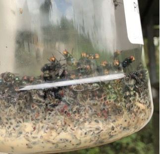 Investigación y Desarrollo de Productos