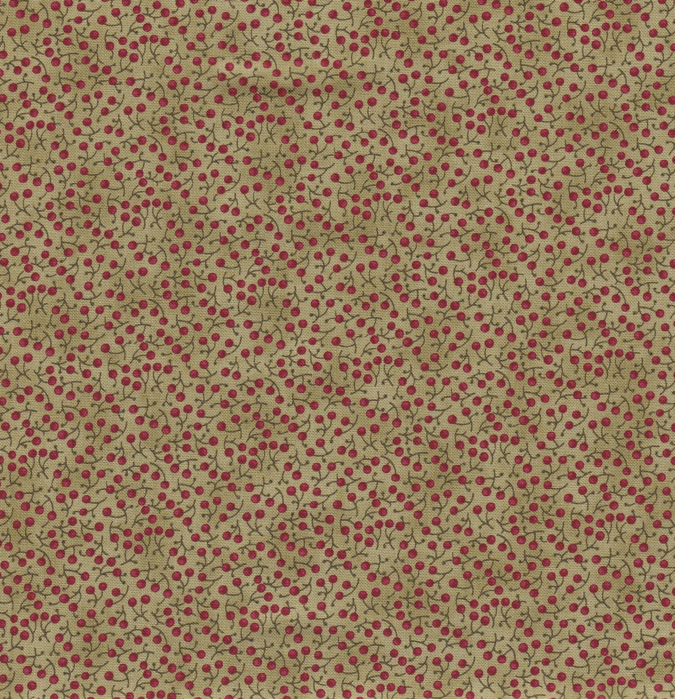 BAIES SUR FOND VERT 1554423513