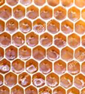 Screenshot 2026-05-07 120730_edited.jpg