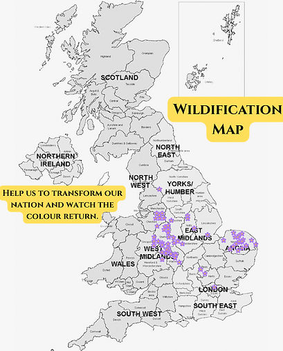 Wildification Map.jpeg