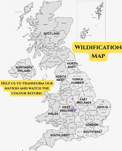 Wildification Map.PNG
