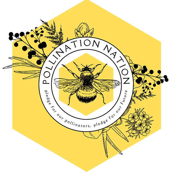 POLLINATION NATION - 2.jpeg