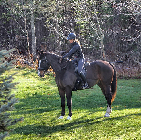 Halifax horseback riding