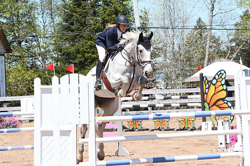Show Jumping