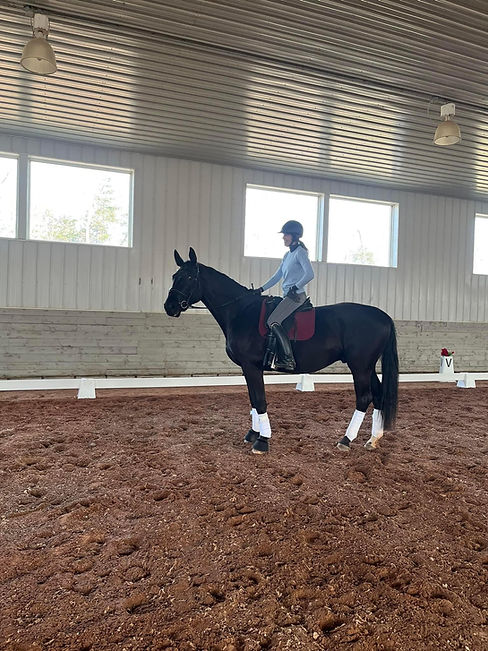 Dressage clinic