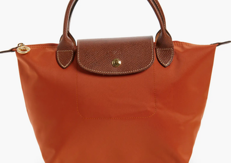 longchamp bag