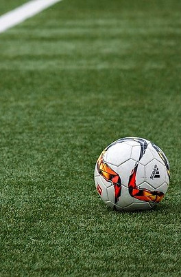 media_blog_posts_ee76626ee11ada502d5dbf1