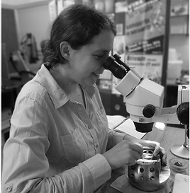 presentation metier graveur