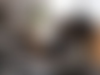 Agile auditing: een werkwijze