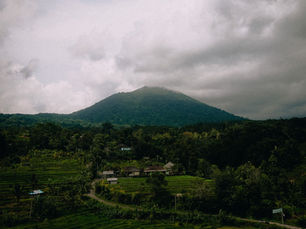 Bali This Week: A Fuel-Price Shock, the Galungan Holy Days, and a New Marine Reserve for the South