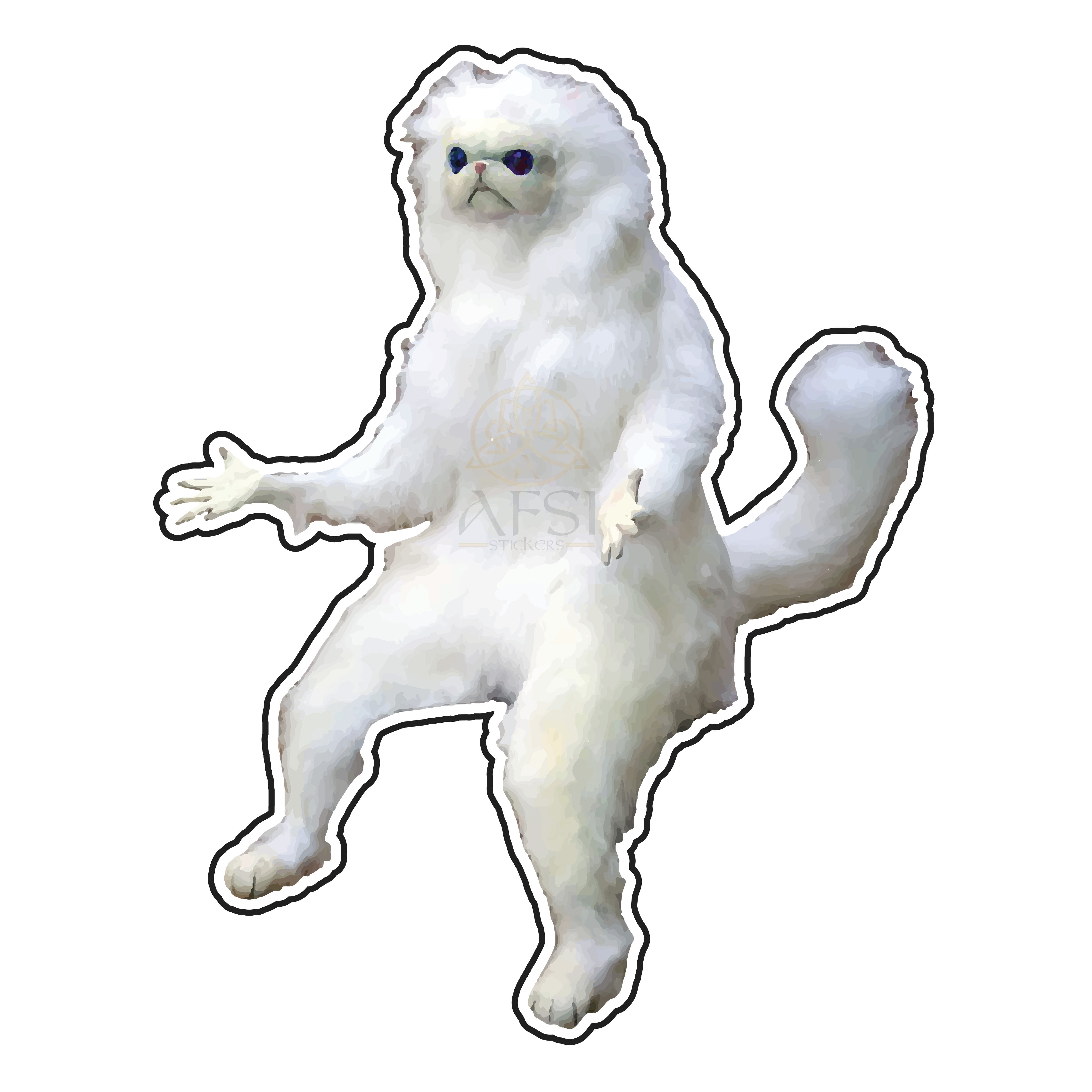 میم گربه ایرانی