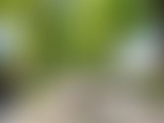 קורקינטים חשמליים מתקדמים המדריך המלא