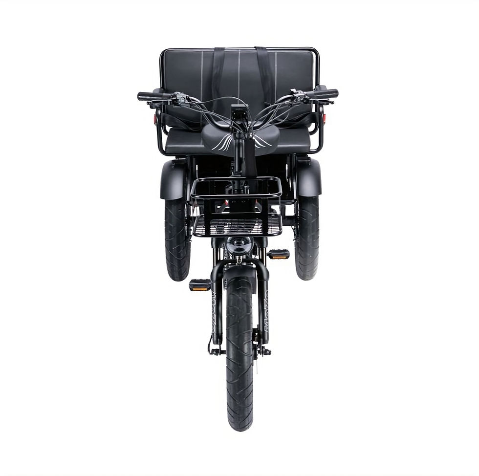 תמונה ממוזערת: תלת אופן Tricycle JAGER CARGO