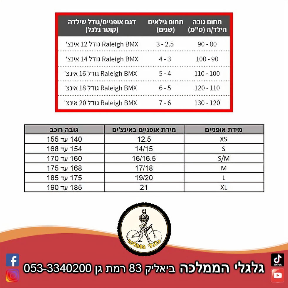 אופני עיר פיקסי RL MATEO