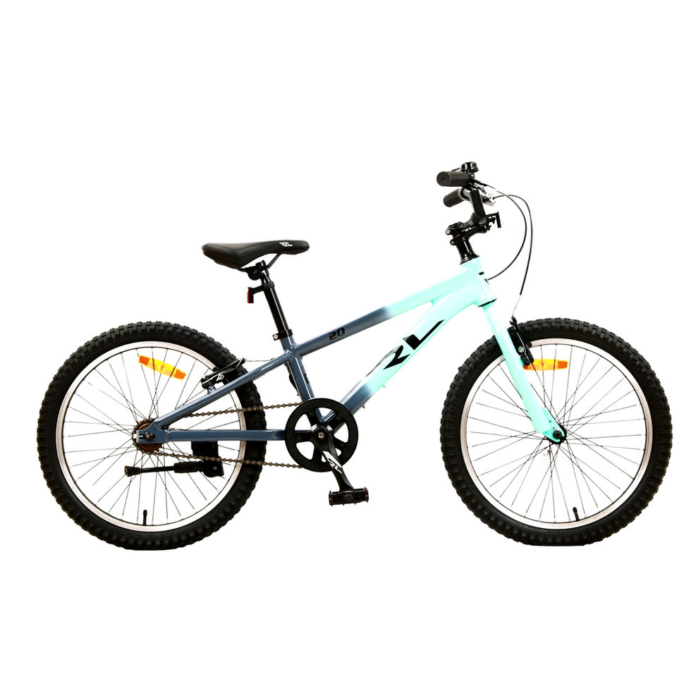 אופניים BMX RL ZOE 20