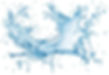 background stripwater.jpg