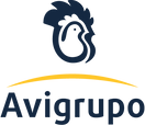 AVIGRUOPO.png