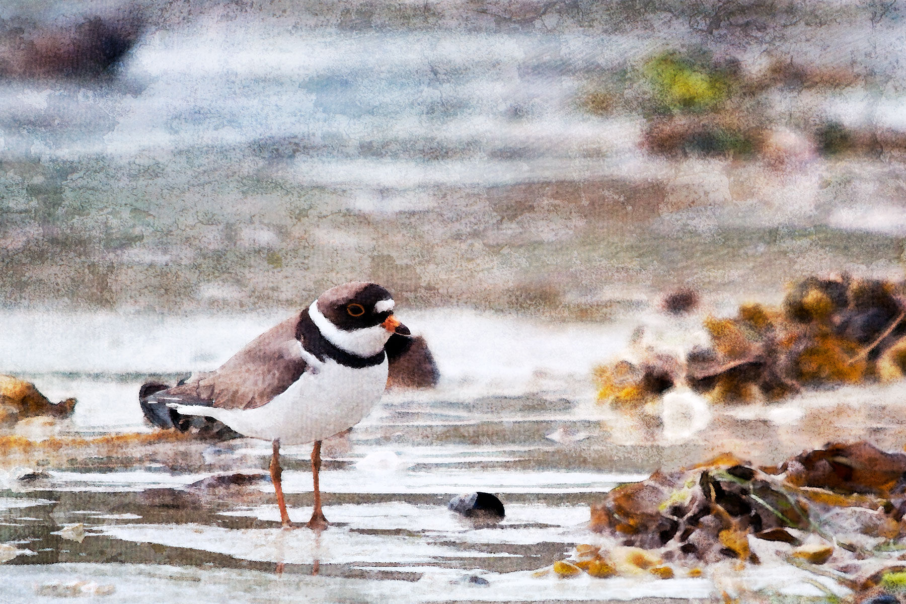 standing in indecision...