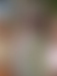 My MoCo Media: Pathways to Business Entrepreneurs Graduate By Laura Rowles