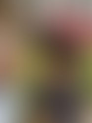 Congressional run stems from a commitment to service