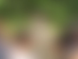 A Day In The Life At Kamp Kenwood