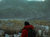 #专栏 | 安静一点,世界会更清楚