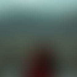 #专栏 | 安静一点,世界会更清楚