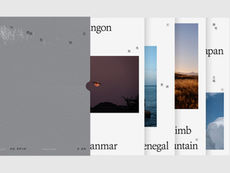 谁在缝隙里种光
