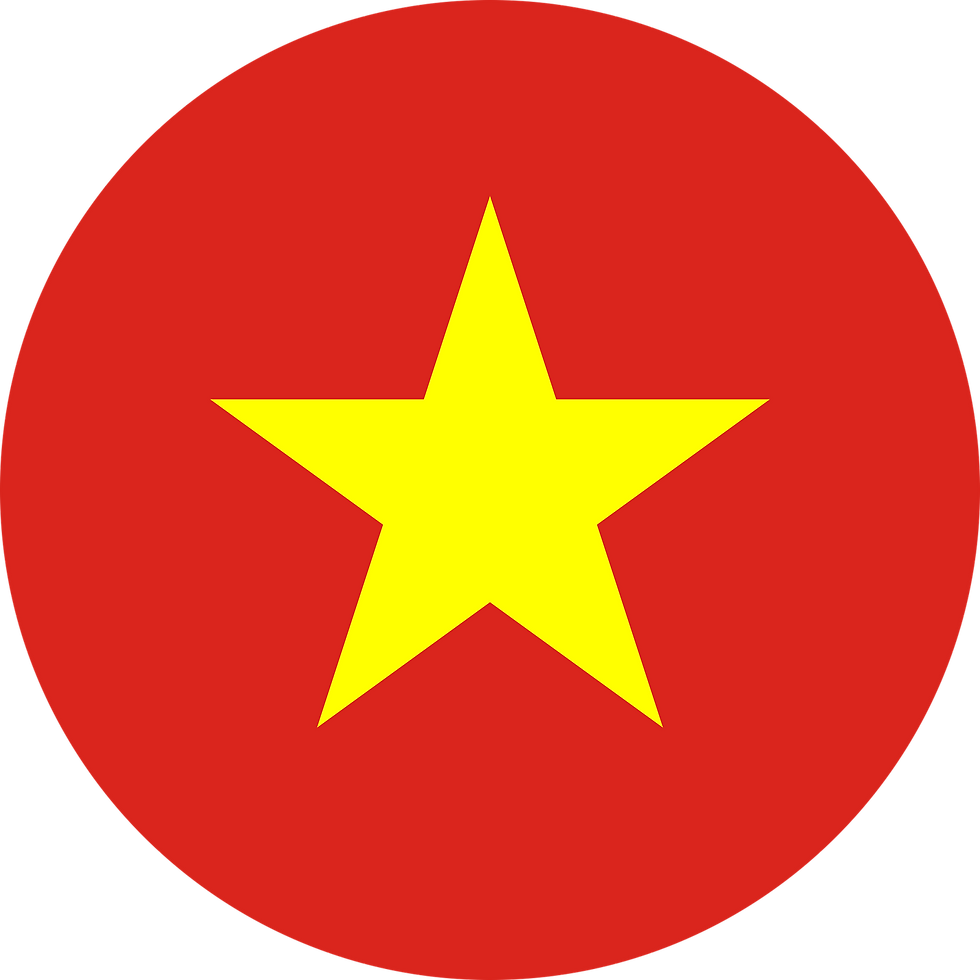 Flag_of_Vietnam_Flat_Round-2048x2048.png