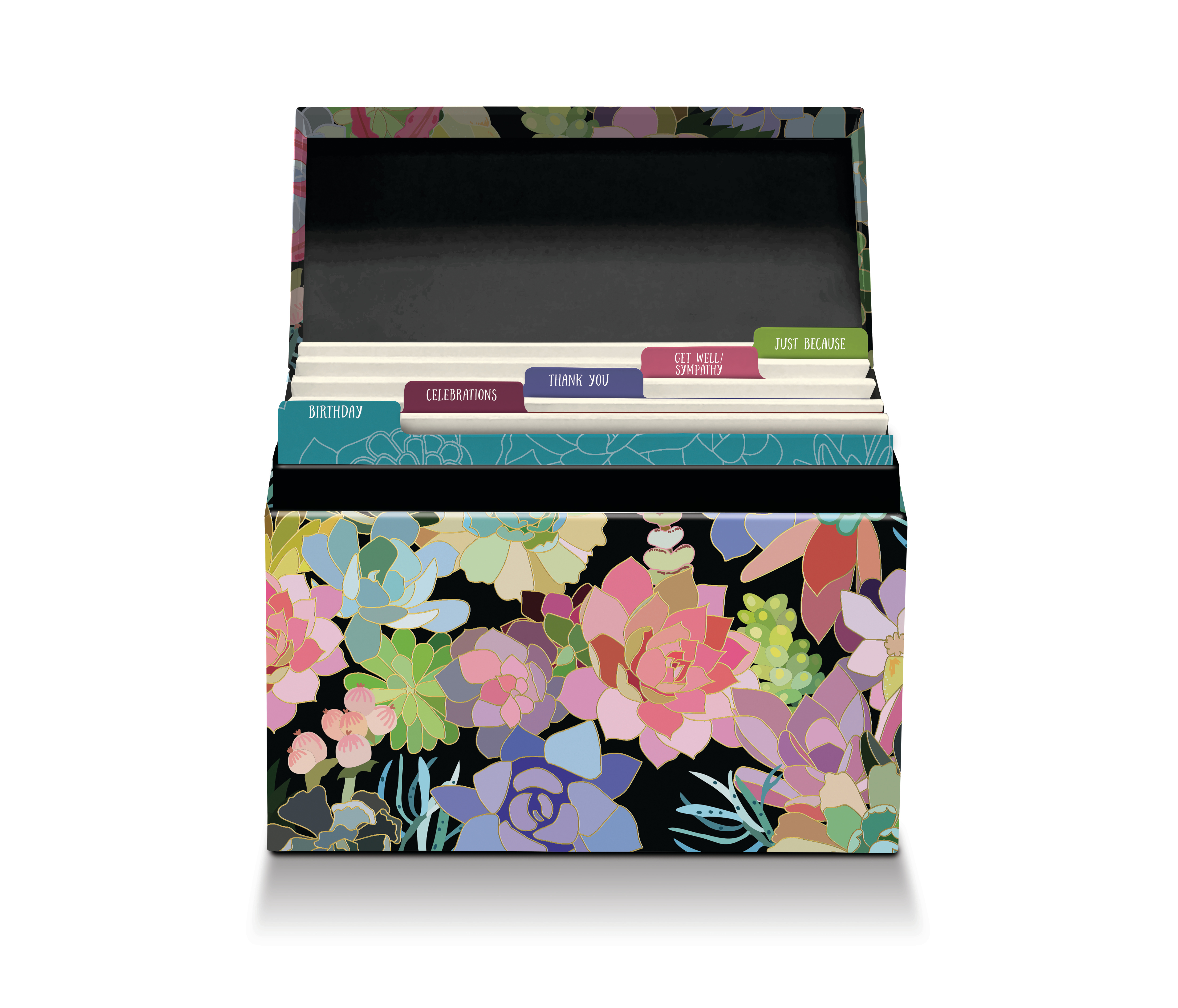 Succulent Paradise Assortment
