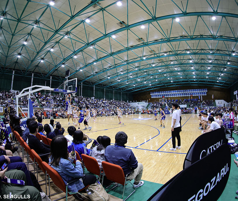 東海大学男子バスケットボール部SEAGULLS