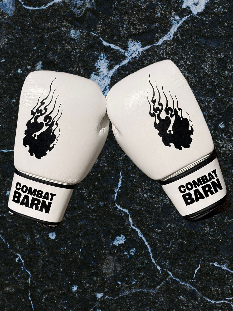 Thumbnail: Boxing Gloves