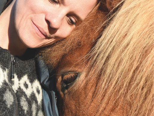 Achtsamkeit mit Pferd