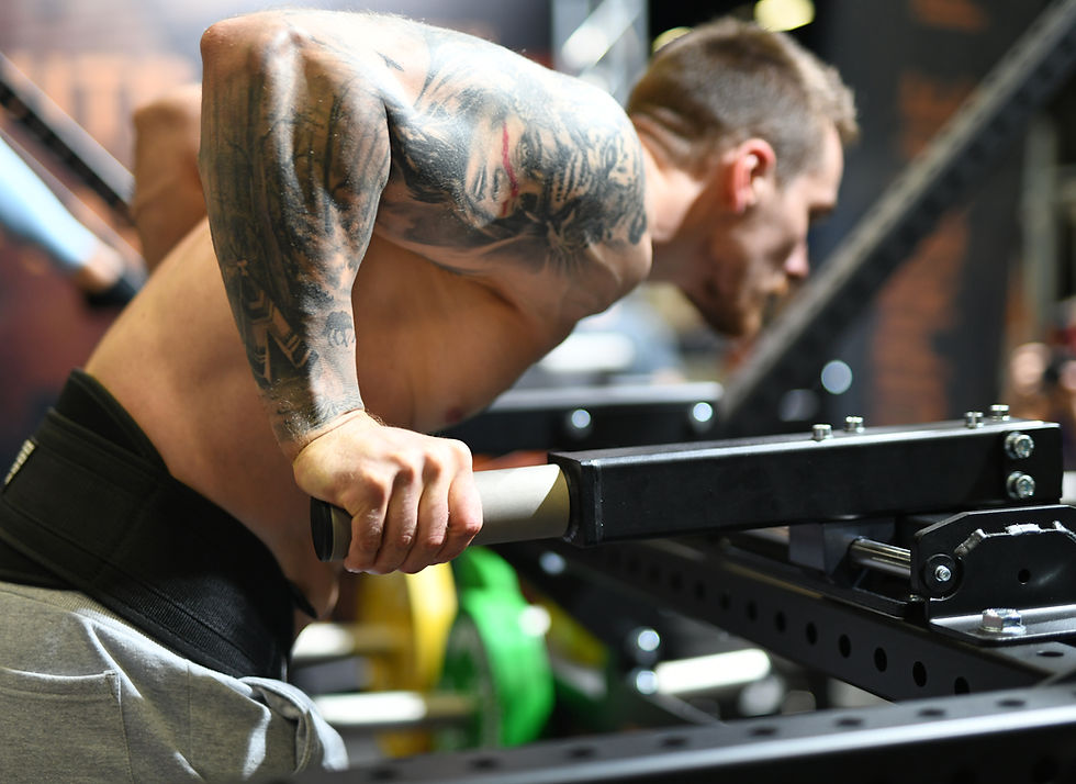 Thumbnail: Dip Station