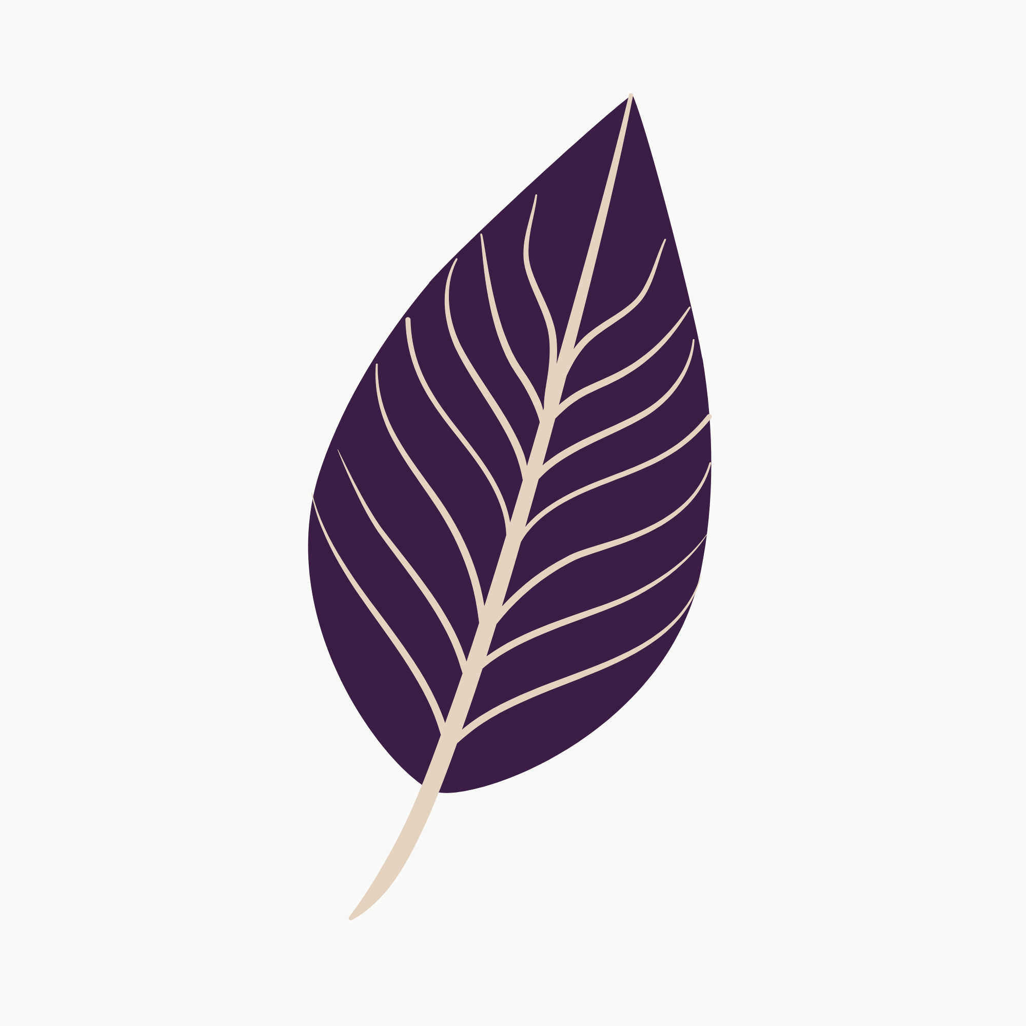 HerbanLeaf's Fusion Salad