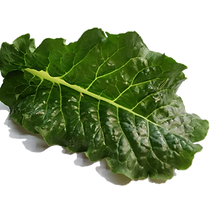 GREEN CHARD.png