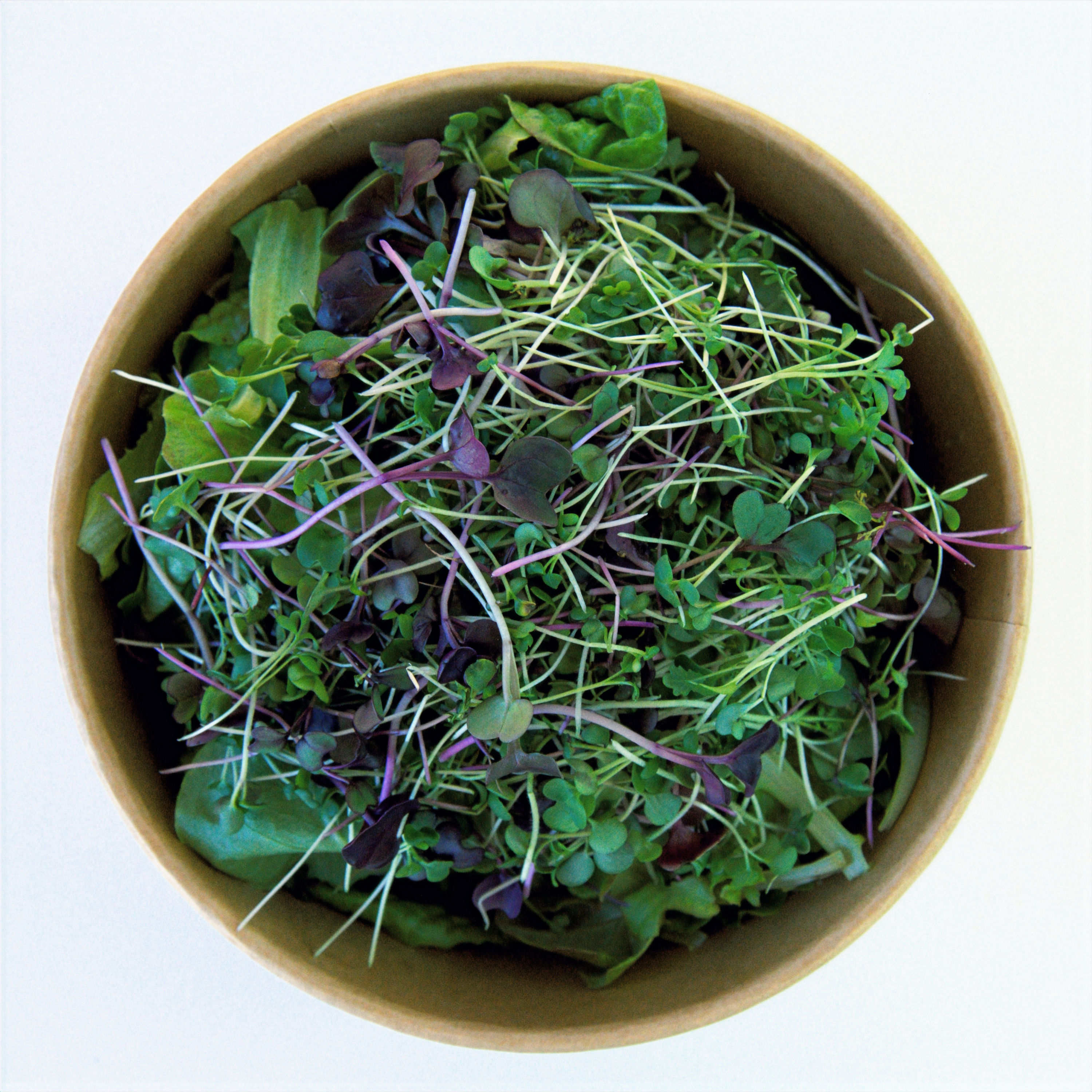 Microgreen Summer Salad