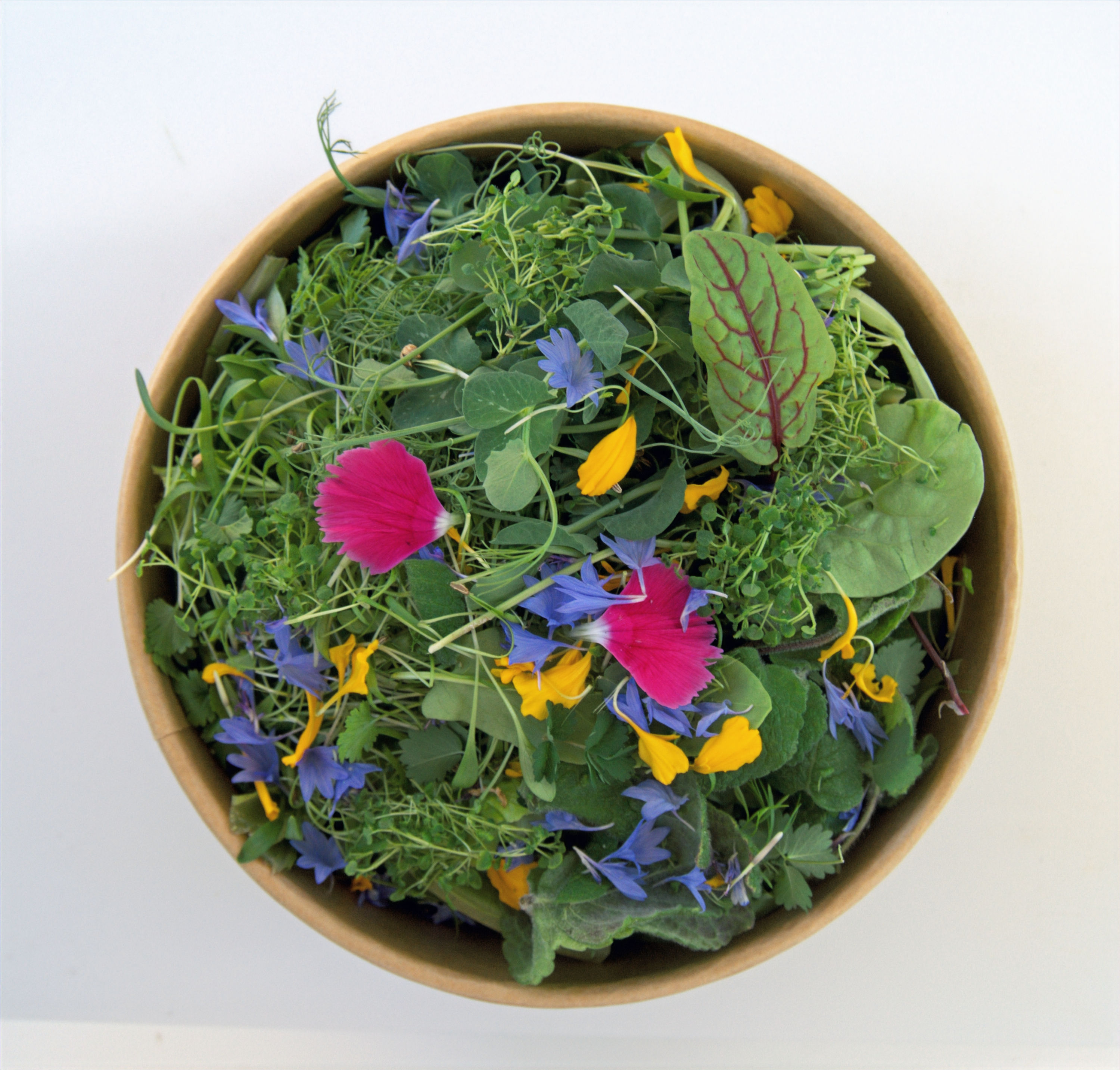 Spring Breeze Salad
