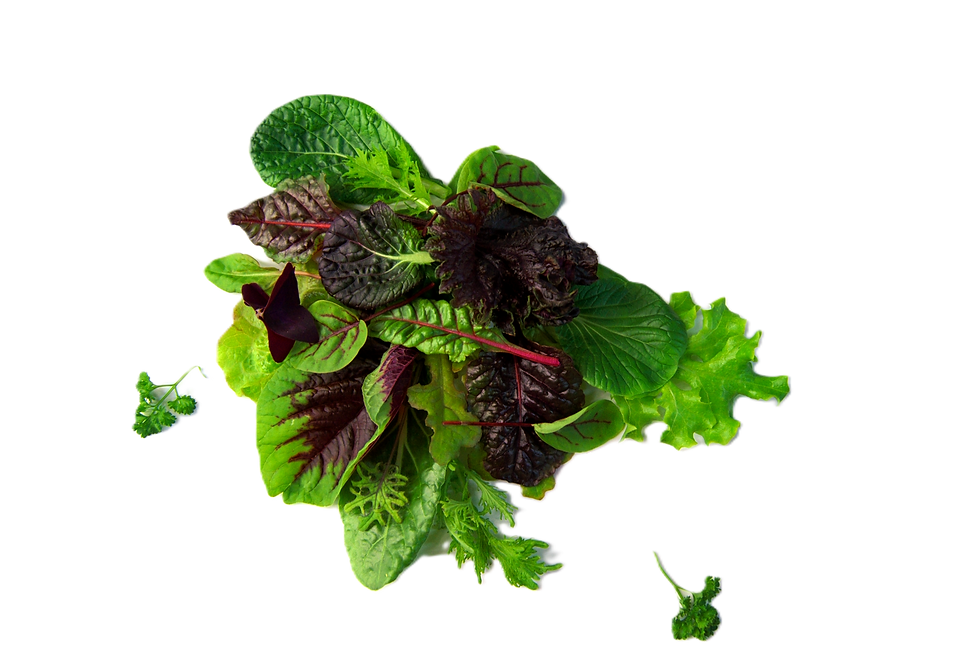 saladgreens