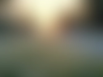 When the Southern Deep Chill Hits: A Tale of Two Winters