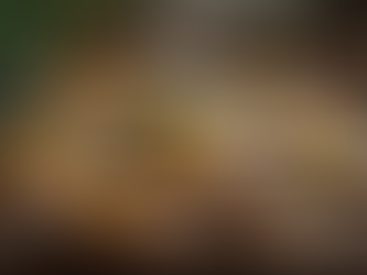 Building a NEPA Food Blog from Scratch: Local Food Blogging Advice You’ll Love!