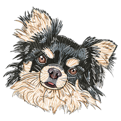 Illustratie hond met lange haren