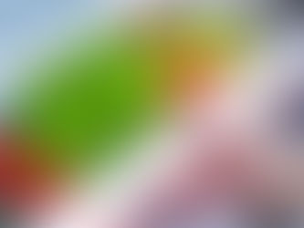 Como lavar e conservar as folhas por mais tempo na geladeira? Descubra como!
