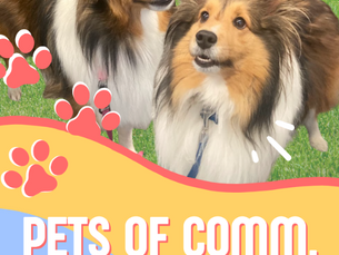 Pets of Comm Arts