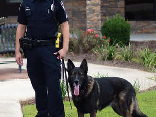 A look inside the relationship between an officer and a K-9 police dog