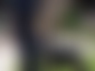 A look inside the relationship between an officer and a K-9 police dog
