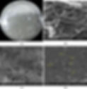 42452_2019_1918_Fig9_HTML.jpg