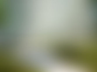 Renovatiemasterplan voor appartementsgebouwen