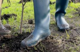Natuur in Eigen Hand